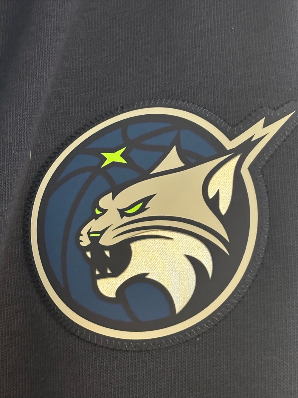 Small Minnesota Lynx WNBA Breakaway Pants (read description)